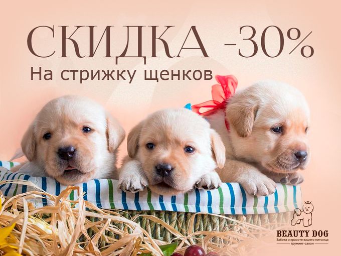 -30% на стрижку щенков!