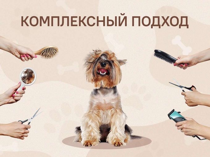 В Комплексе ВЫГОДНЕЕ!!