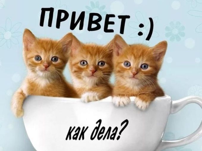 Мы снова работаем!😉✌🏻