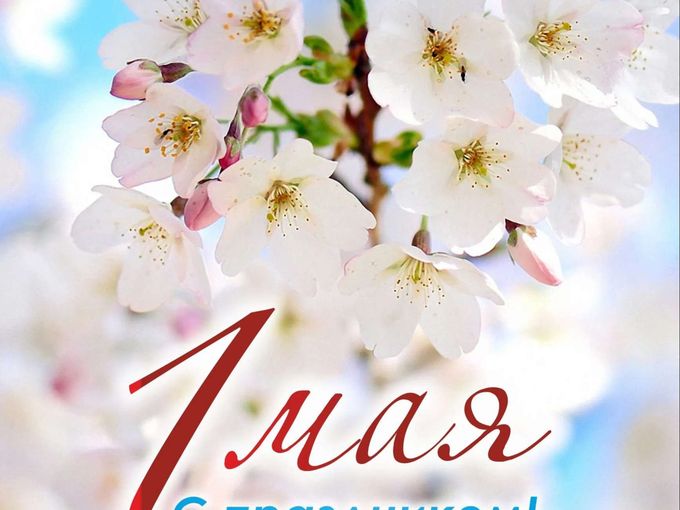 МИР, ТРУД, МАЙ🌻🛠️☀️