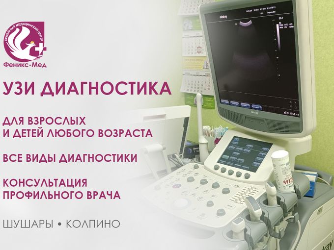 Все виды УЗИ в Шушарах