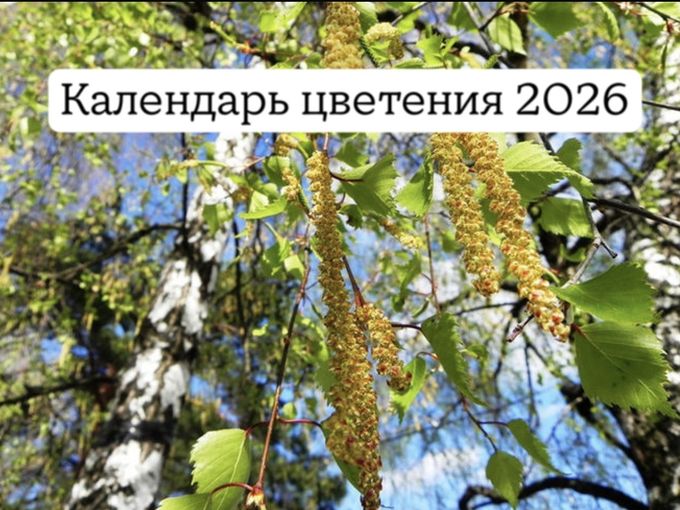 Календарь цветения 2026
