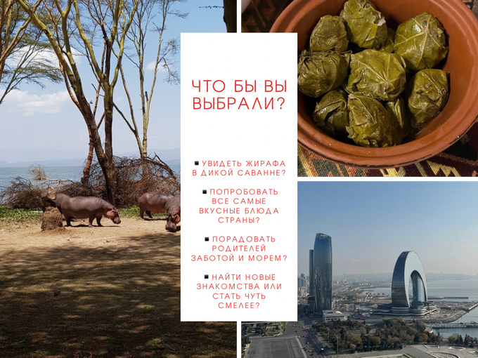 Жираф или море? Что бы вы выбрали?