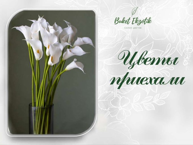Цветы приехали — настроение поднялось 😄