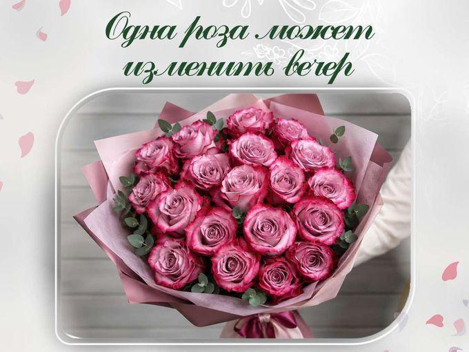 Одна роза может изменить вечер 🌹