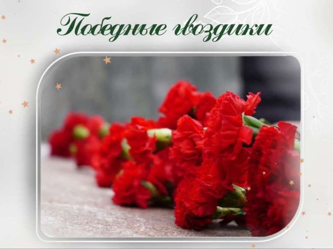 Победные гвоздики🔥
