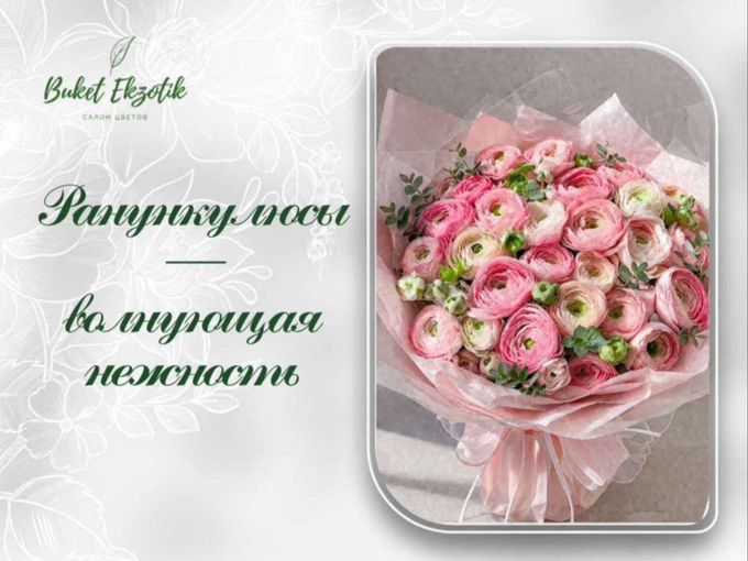 Ранункулюсы — волнующая нежность🌸