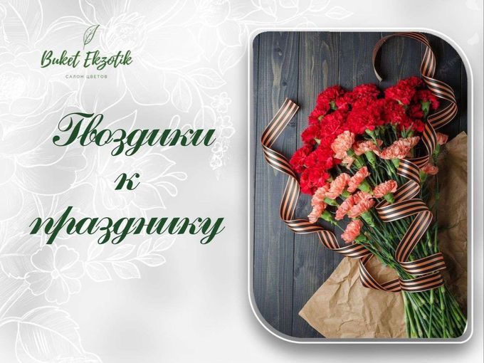 Гвоздики к празднику🌺