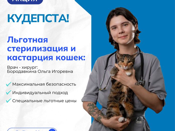 Стерилизация и кастрация Кудепста