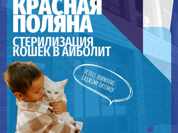 Стерилизация кошек в Красной Поляне