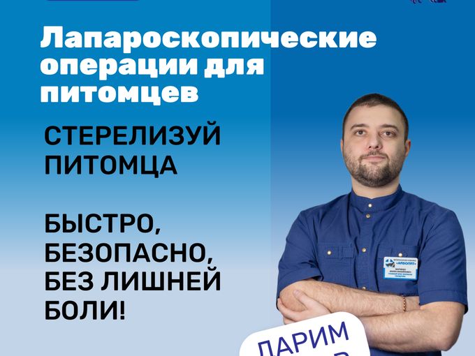 Лапароскопические операции для питомцев