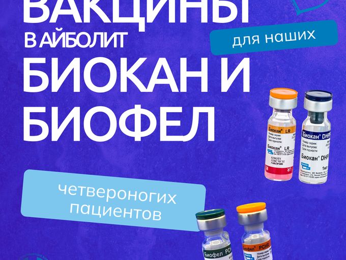 Вакцины Биокан и Биофел в Айболит