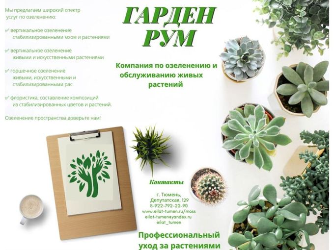 Профессиональный уход за растениями 🪴