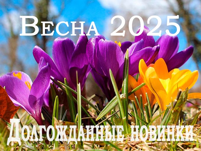 НОВИНКИ 2025