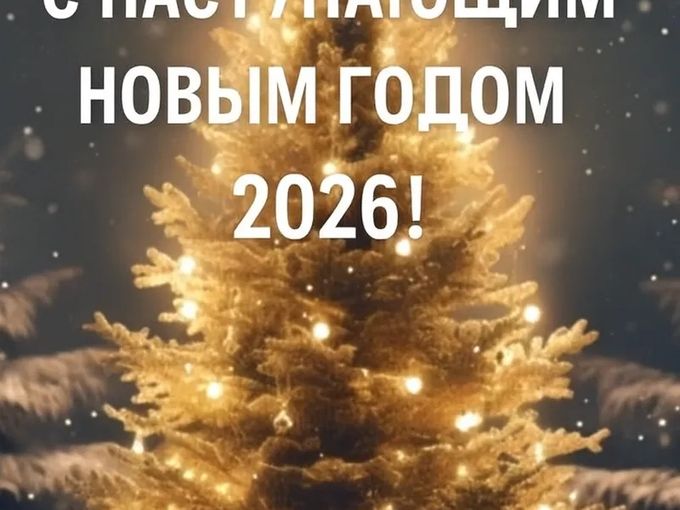 С наступающим 2026 Новым годом!