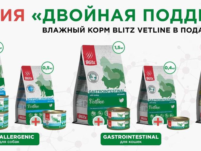 Двойная поддержка от BLITZ