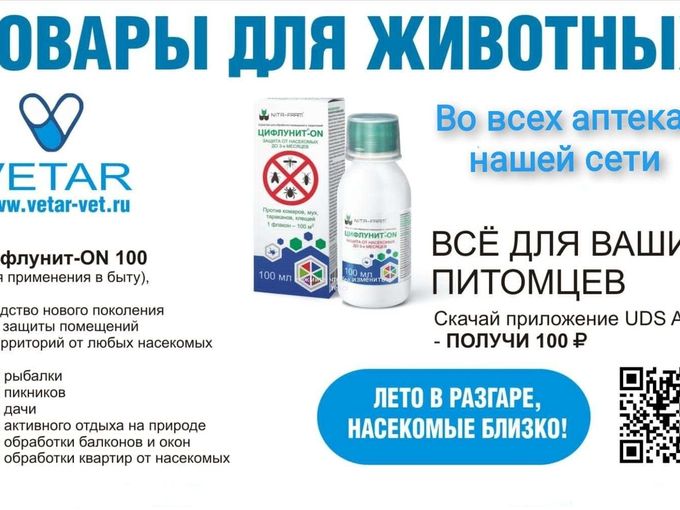 ЛЕТО В РАЗГАРЕ !