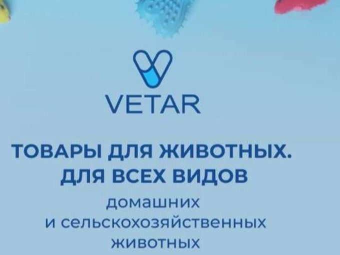 Оптовая цена⬇️