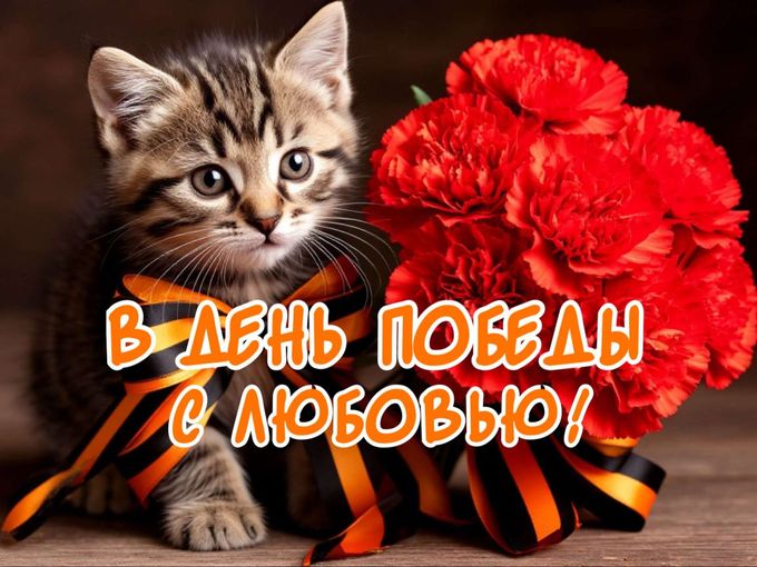 С ДНЁМ ПОБЕДЫ! 🧡🖤🧡🖤🧡🖤🧡