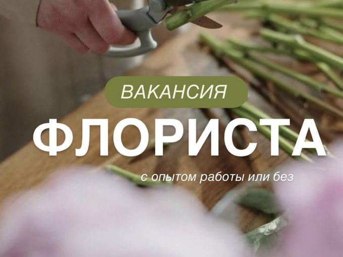 Мы набираем новую команду