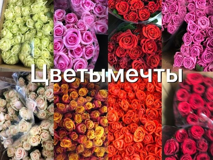 Новое поступление товара!