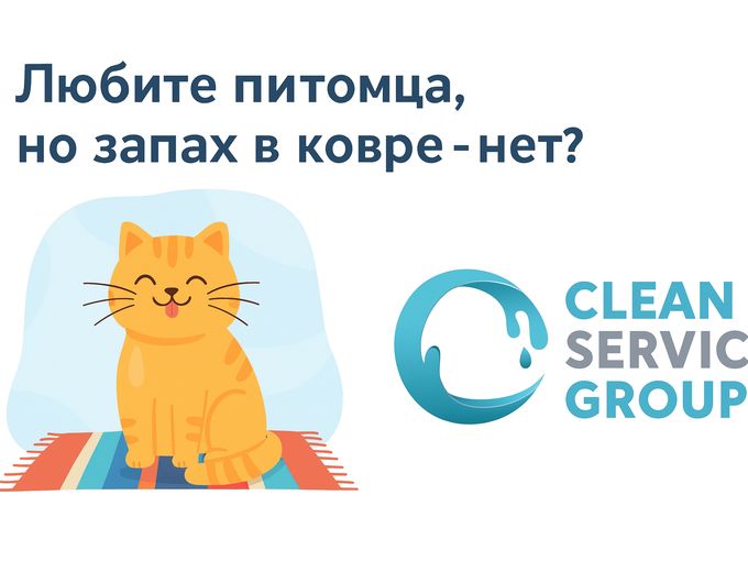 Miros în covor? Rezolvăm!