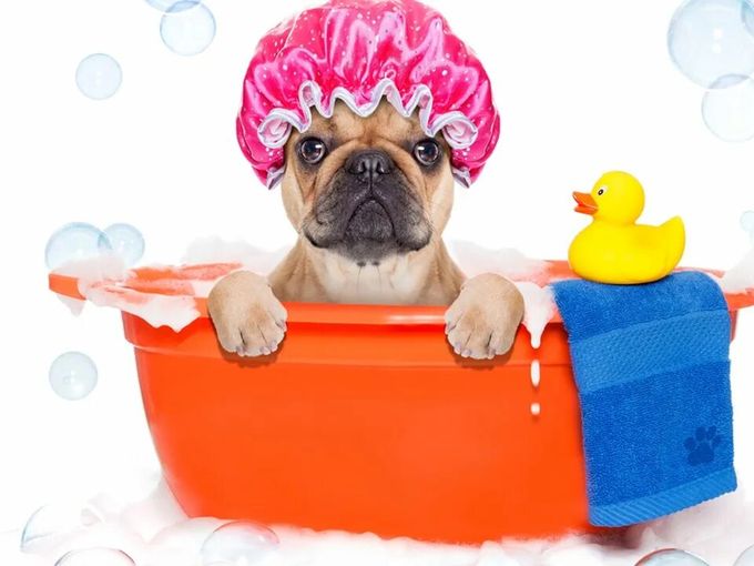 Готовимся к праздникам✂️🛁💐
