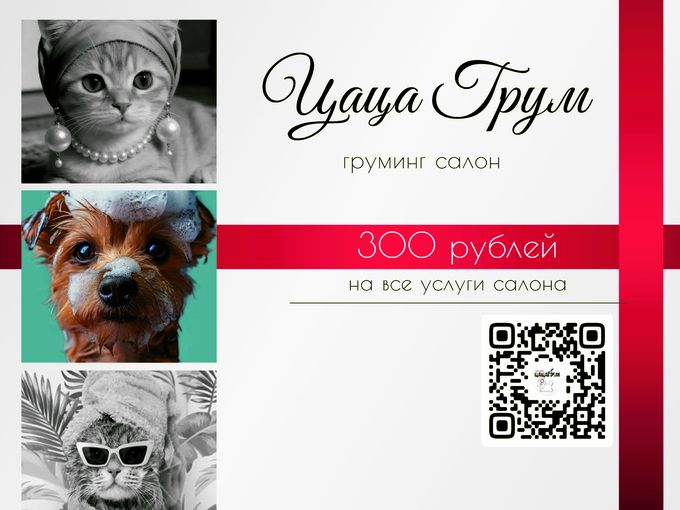 Дарим вам скидку 300 рублей.