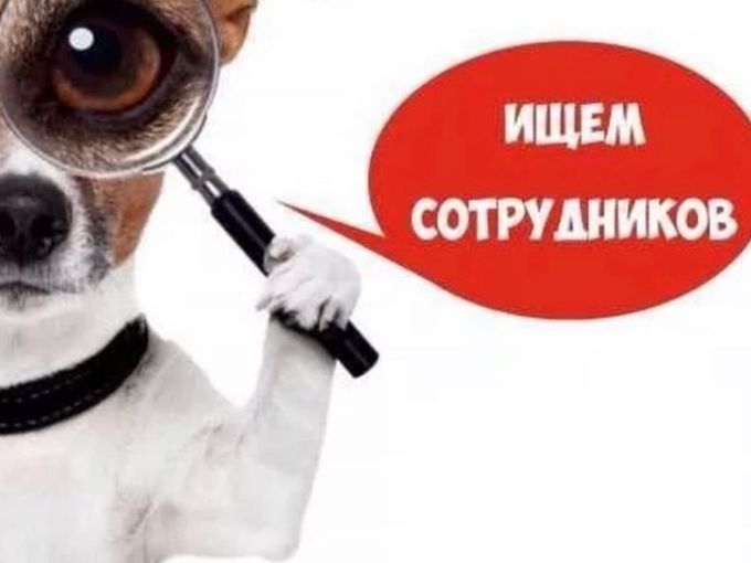 Приглашаем на работу.