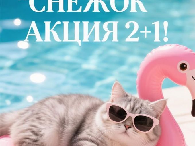 2 = 3 Акция на сухой корм для кошек