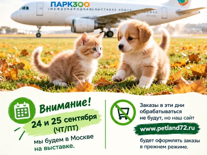 Оформи заказ до 23 сентября!