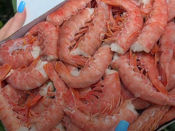 КЛАССНЫЕ АКЦИИ🦑🥳