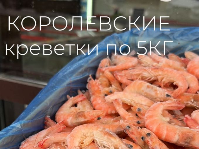 НОВИНКИ, АКЦИИ 🌊🍤🔝🐚