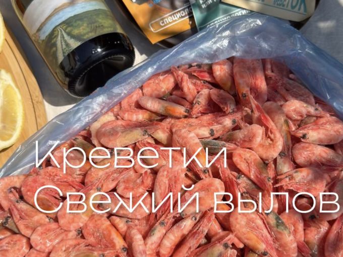 СВЕЖИЙ ВЫЛОВ СЕВЕРНЫХ🦐