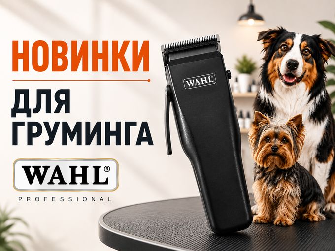 🐾 НОВИНКИ для пушистых друзей! 🐶🐱