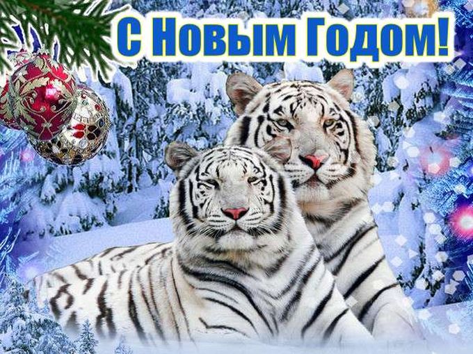 График работы в Праздничные дни!