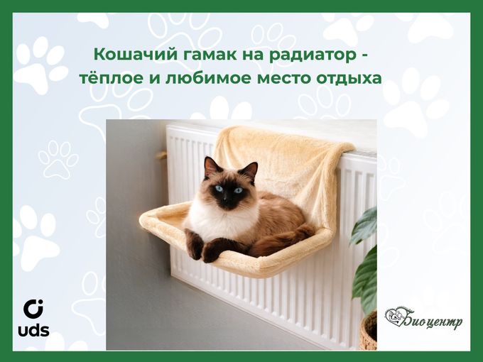 Идеальное место отдыха для кошек 🐾