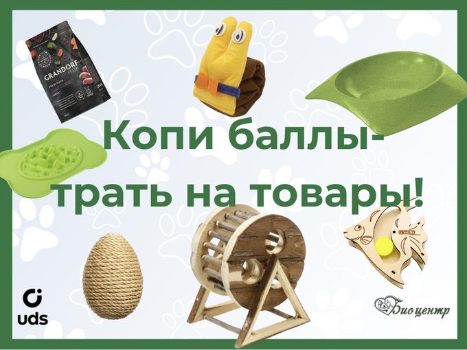 Копи баллы-трать на товары!