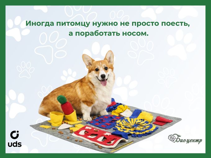Нюхательный коврик