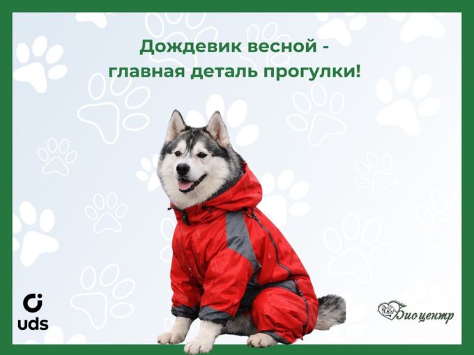 Дождевик - главная деталь прогулки!