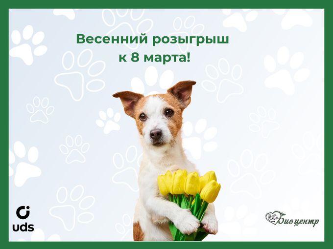 Розыгрыш к 8 марта!