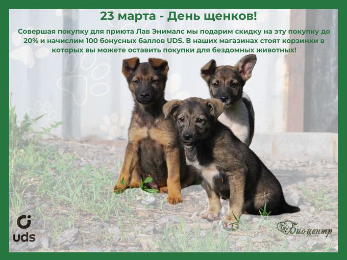 23 марта - День щенков