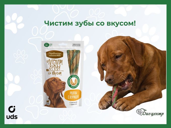 Чистим зубы со вкусом!