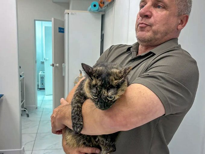 История спасения кошки Сони 🐱💚