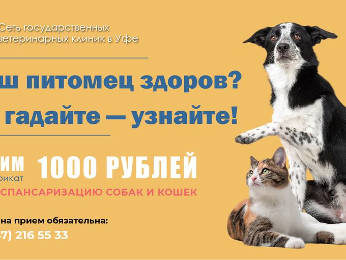 Дарим 1000 баллов на диспансеризацию