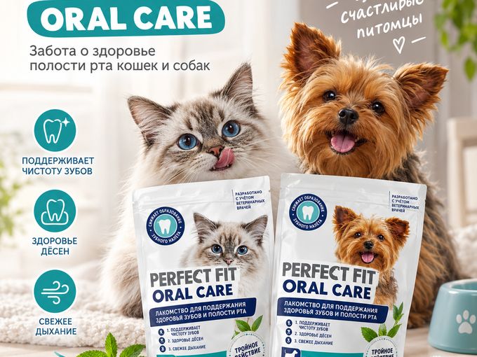 Perfect Fit — с заботой о здоровье!