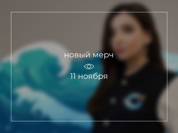 Новый мерч UDS — 11 ноября!