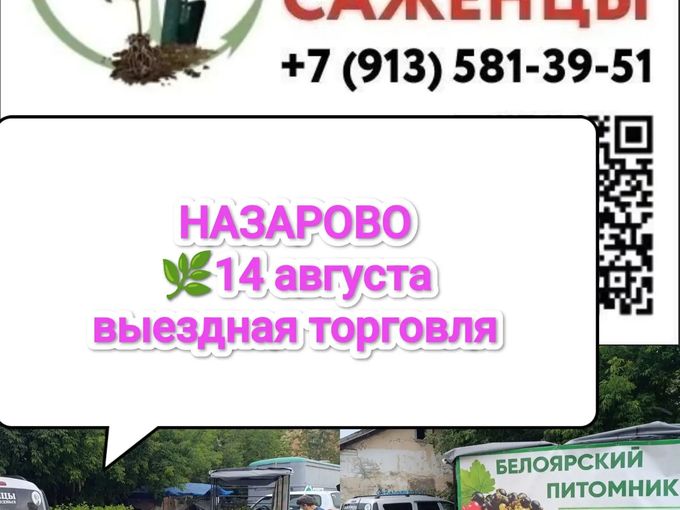 💚НАЗАРОВО - 14 августа  ЕДЕМ К ВАМ🚙🌿