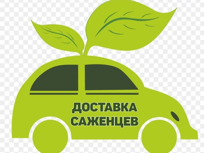 🚙🌿ИЮНЬ расписание ДОСТАВКИ