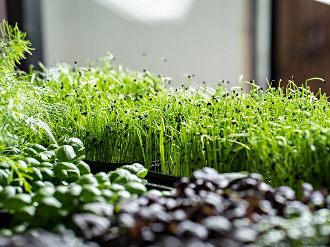🌿ВАЖНОЕ ОБЪЯВЛЕНИЕ